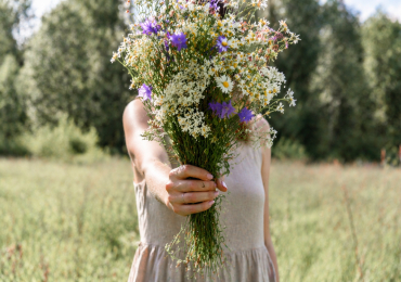 Не чихай, не плачь, не чеши!