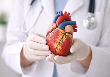 Что важно знать о нормальной работе сердца